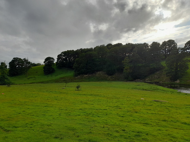 20250622-190259.jpg