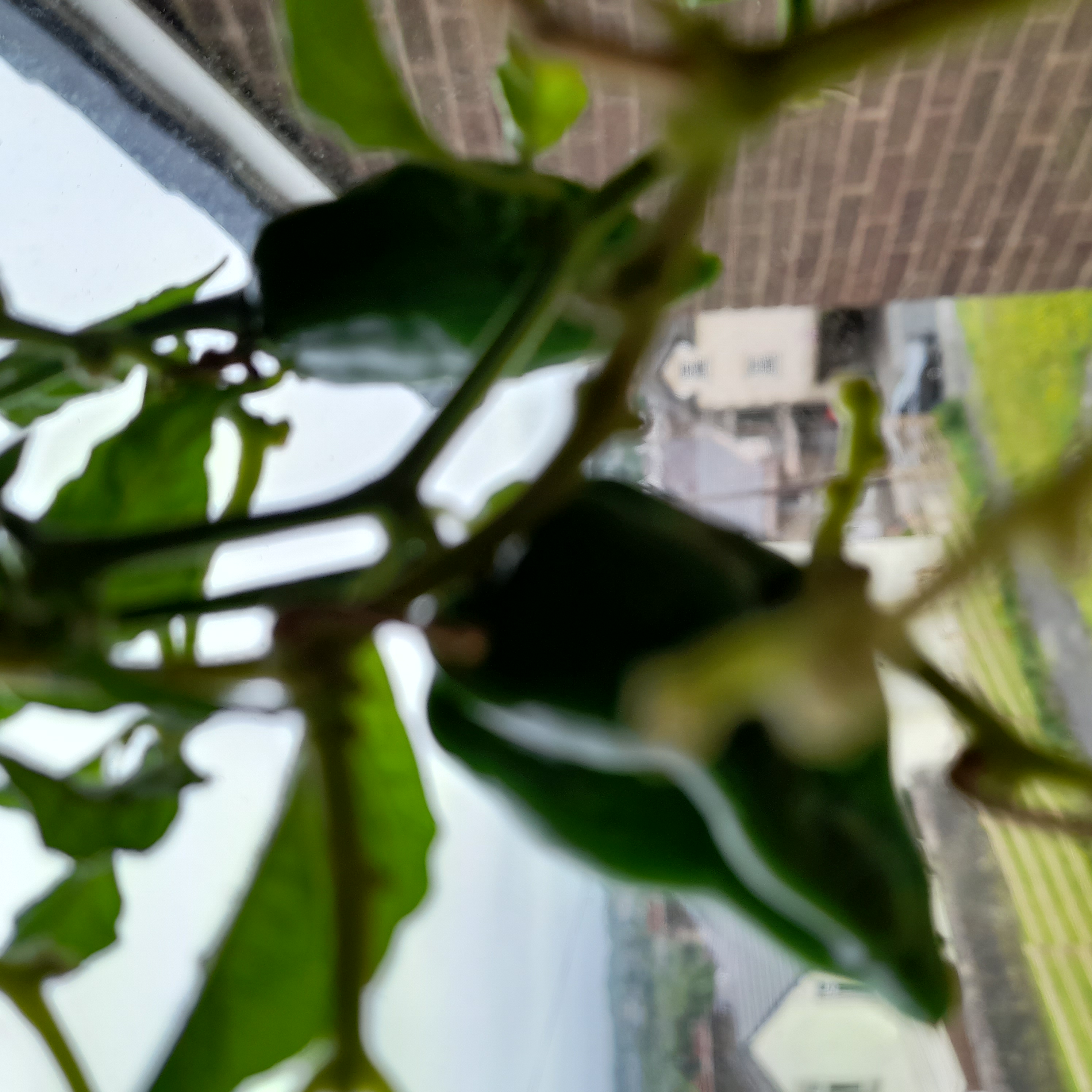 20250628_122311.jpg