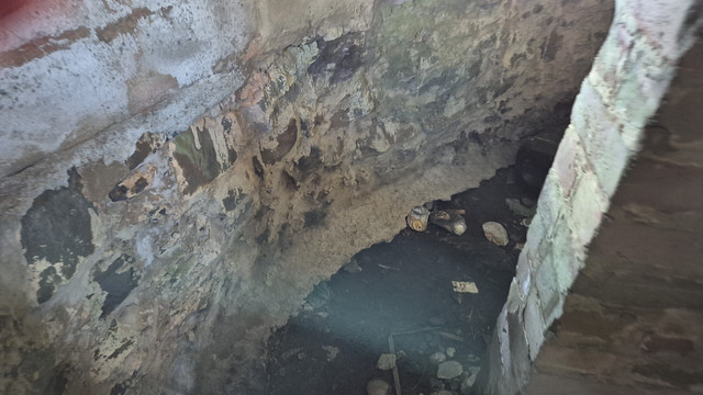 IMG-20250310-125053.jpg