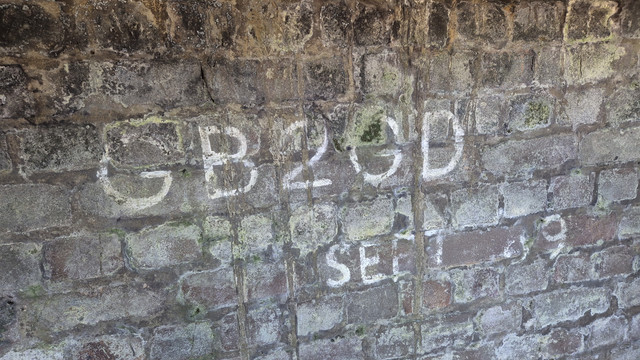 IMG-20250310-131152.jpg