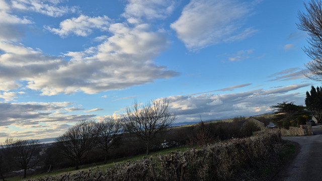 IMG-20250314-170242.jpg