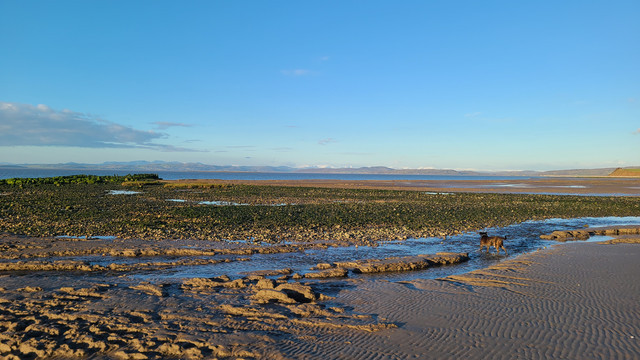 Shore1.jpg