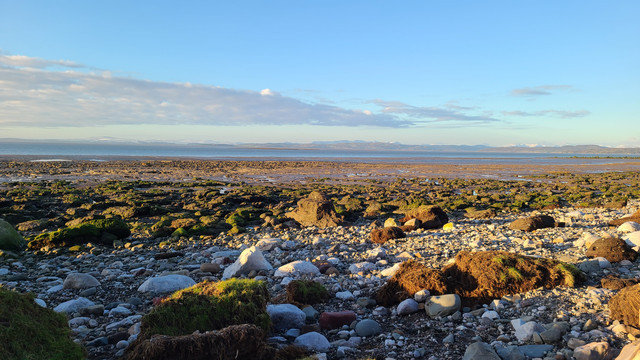 Shore2.jpg