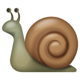snail.png